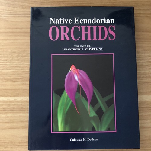 Native ecuadorian orchids - native,