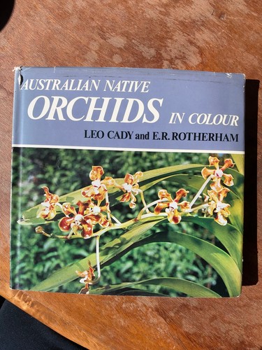 Australian native orchids - australian, in