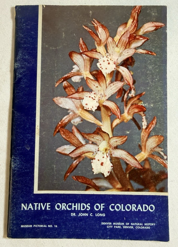 Native orchids colorado by - orchids,