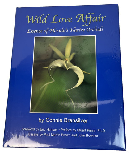 Wild love affair essence - love, of