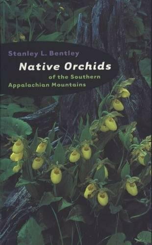 Native orchids the southern - orchids,