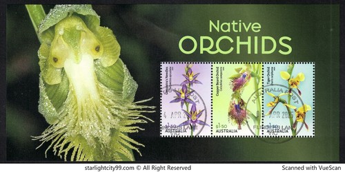 Australia 2024 native - 2024, orchids