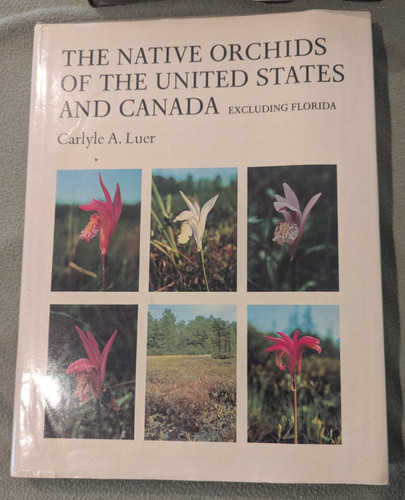 Native orchids the united - orchids,