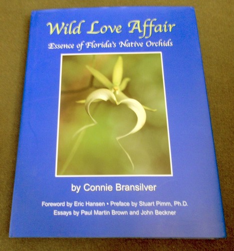 Wild love affair - love, of