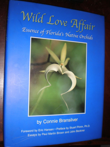 Wild love affair - love, essence